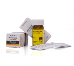 Mesterolone 25 mg (50 tabs)