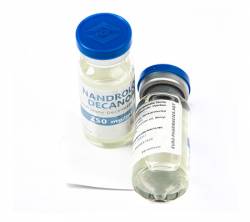 Nandrolone Decanoate 250 mg (1 vial)