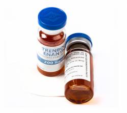 Trenbolone Enanthate 250 mg (1 vial)