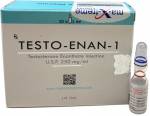 Testo-Enan-1 250 mg (10 amps)